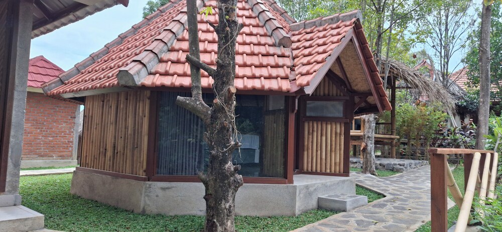 Photo 43