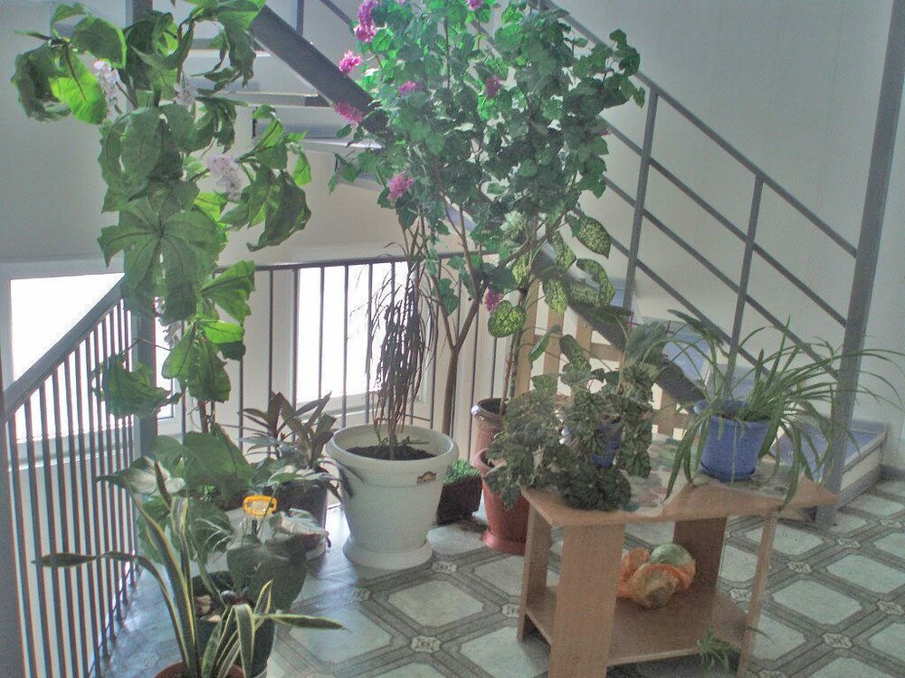 Photo 20