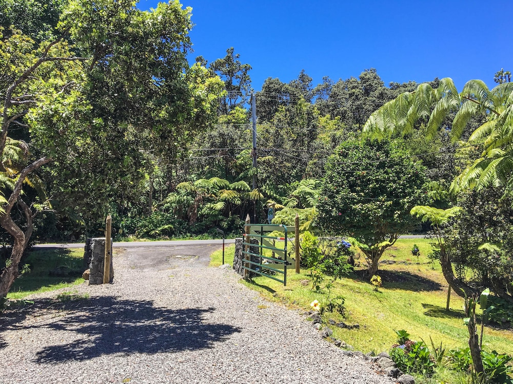 Hale KupuKupu