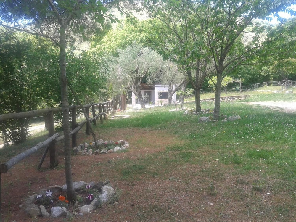 Photo 8
