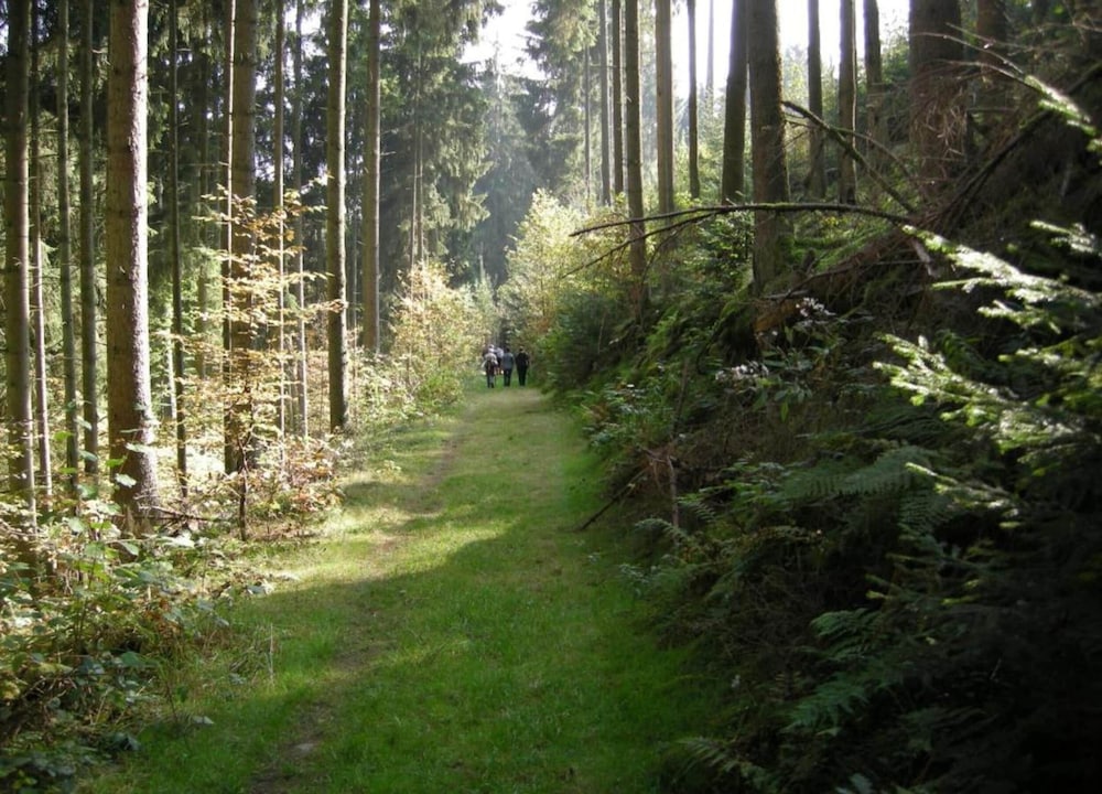 Nature Nest in Waxweiler