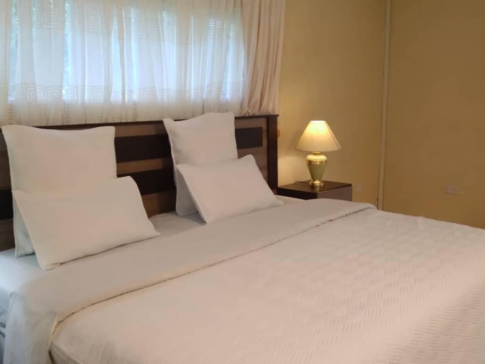 Charming 6-bed House With Swimming Pool in Harare view 5