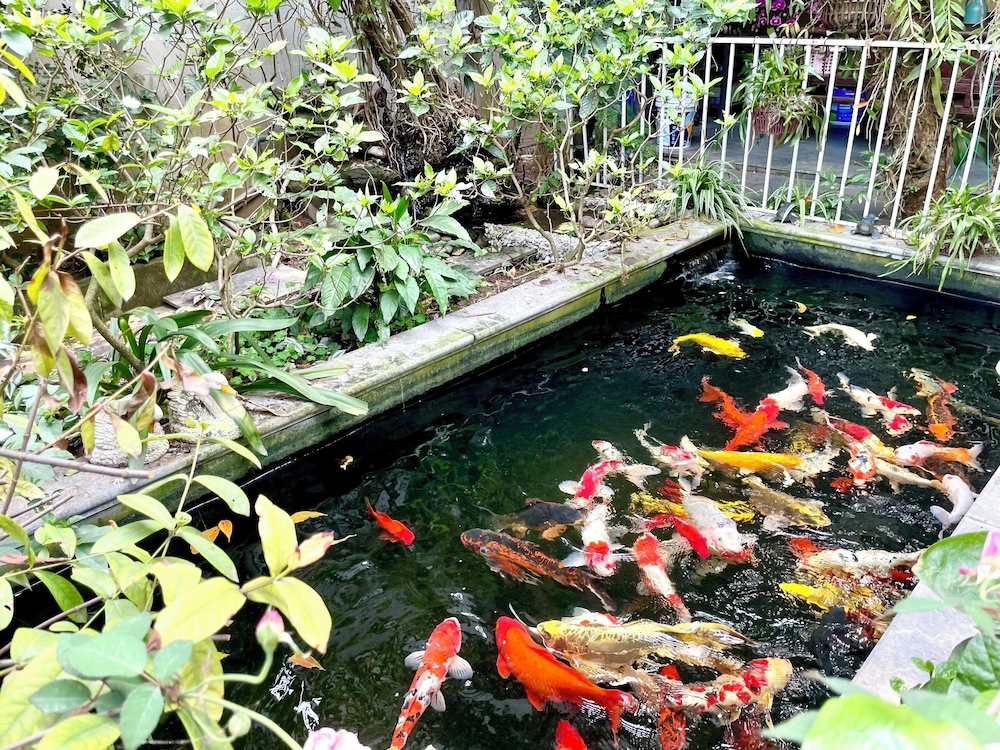 Lee Homestay