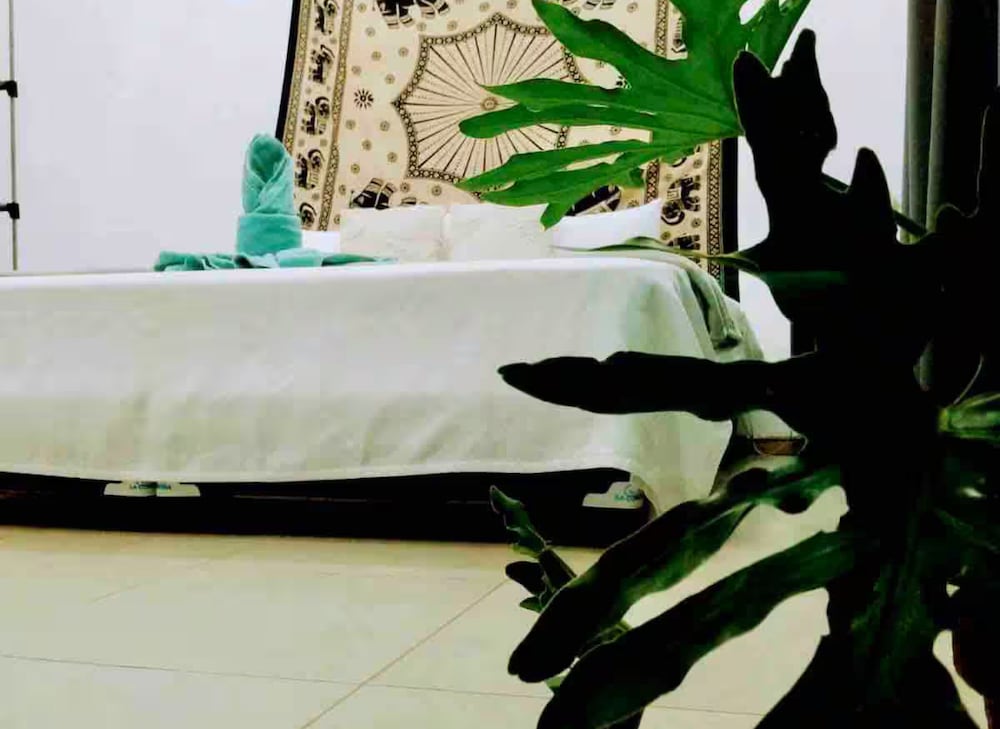 Accommodation in Quepos Costa Rica