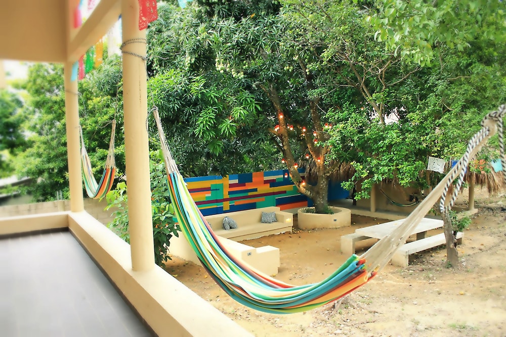 Color Hostel Palomino