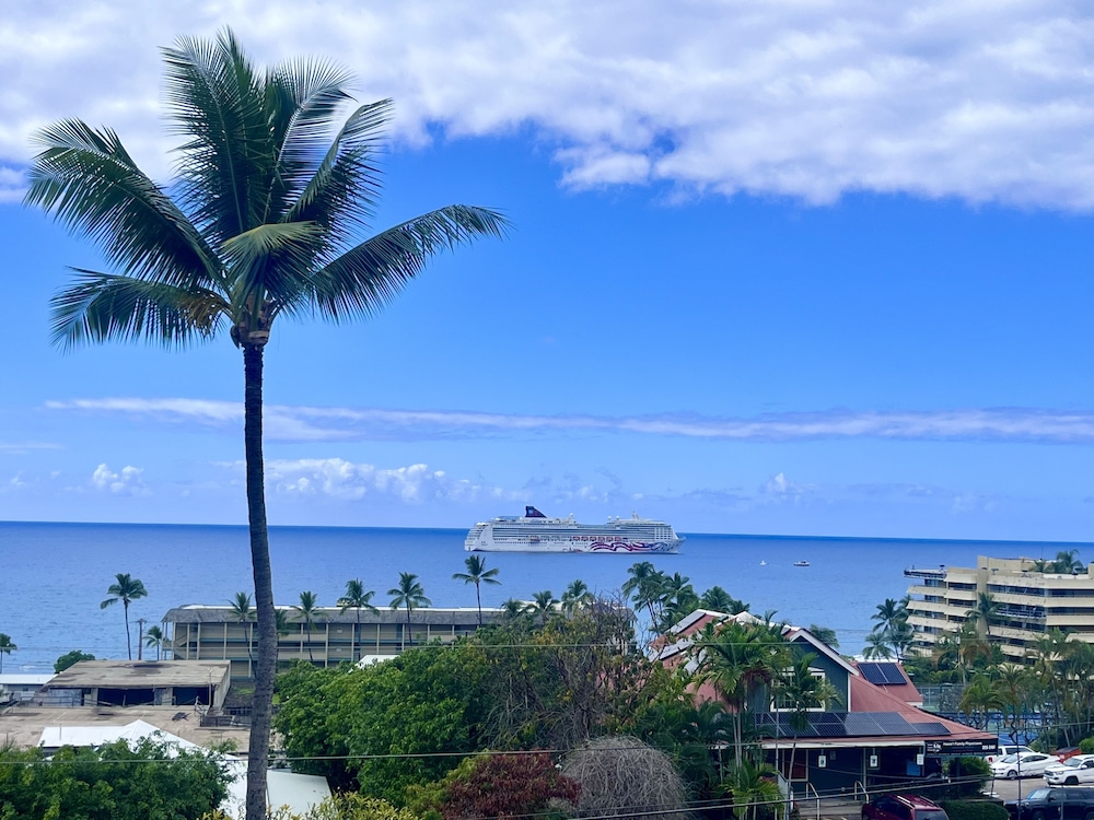 Kona Mansions Ocean Views & Amenities! view 5