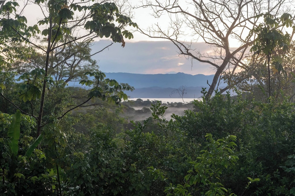 Villa Bruno - Terrace - Jungle - Birdwatching