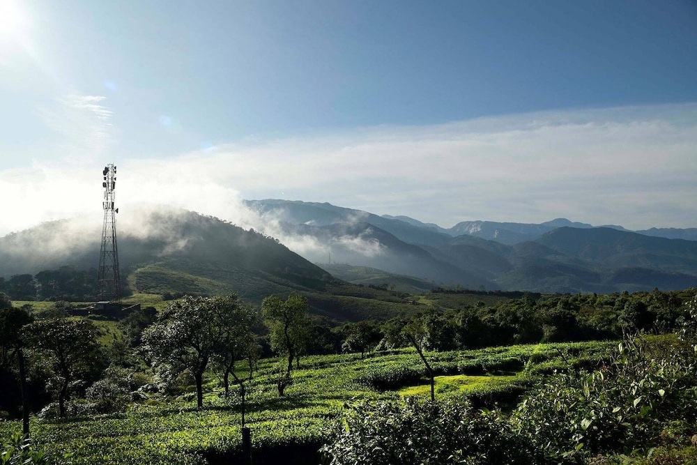 Ibex Resorts, Valparai (Tale Rock)