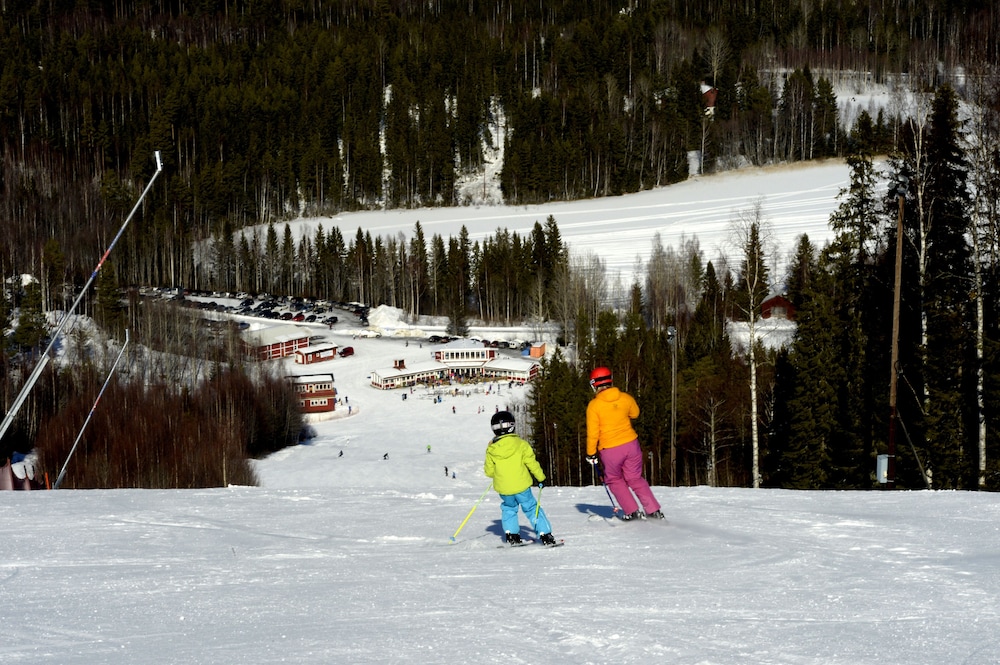Hassela Ski Resort Cabins