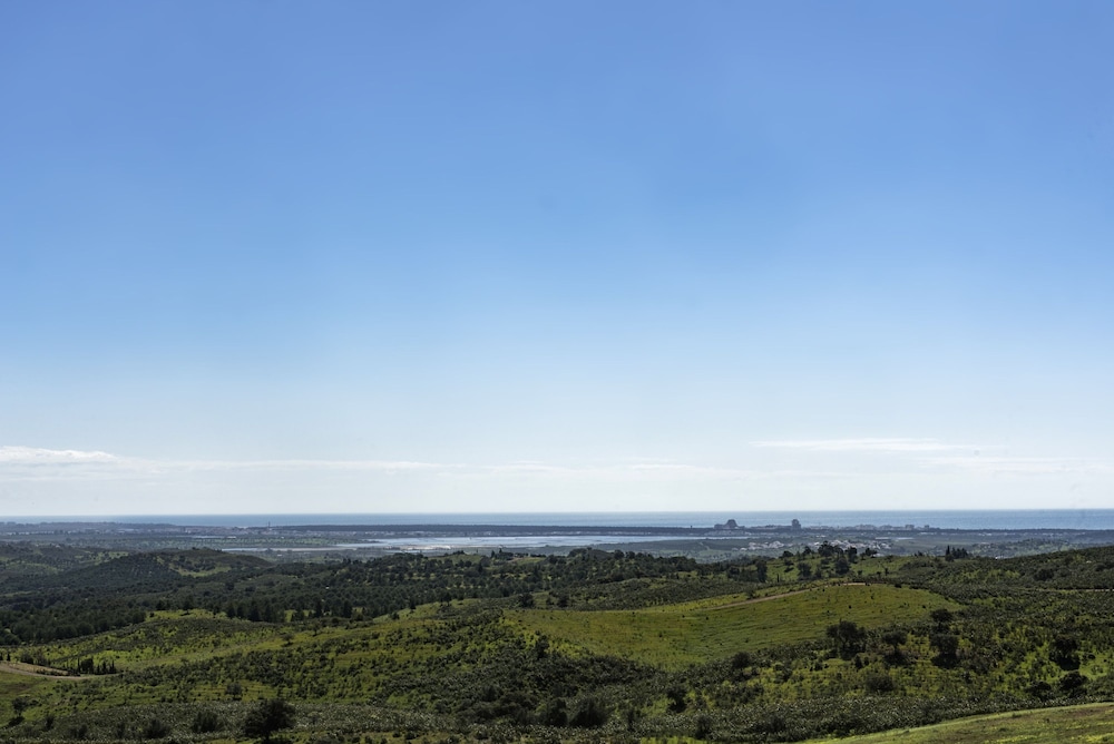 La Glycine in Castro Marim
