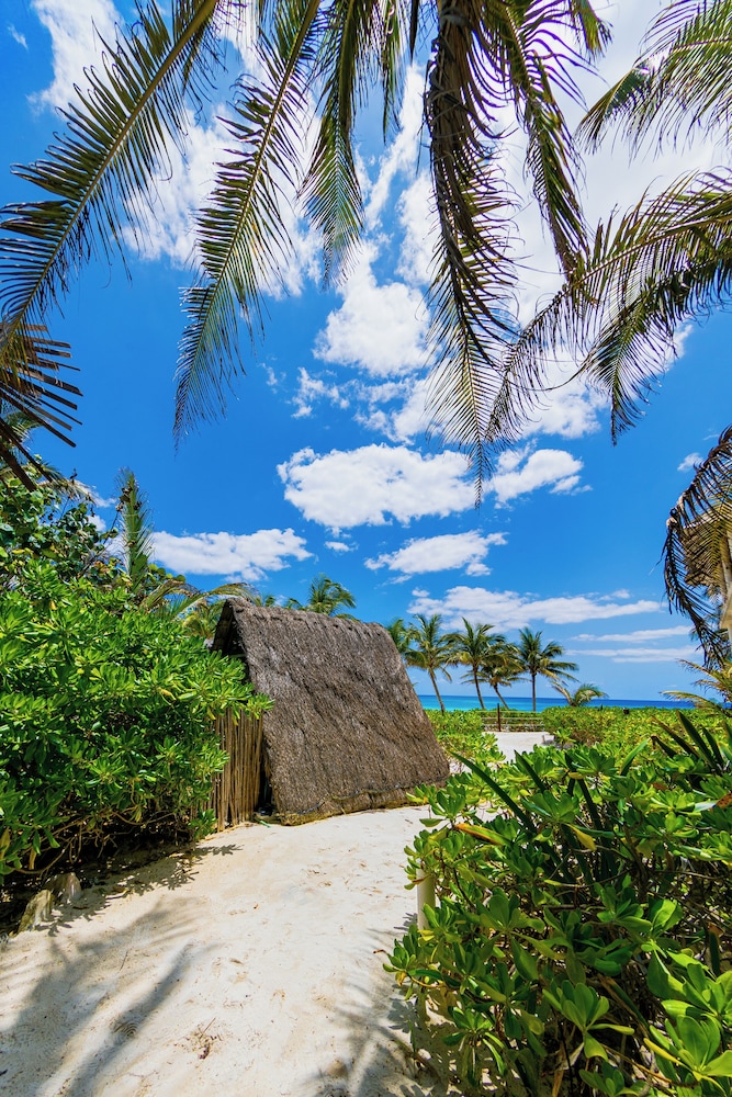 Mía Tulum Tribe