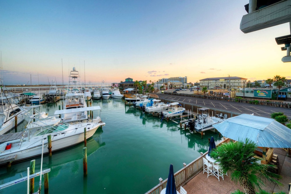 Trout Street Buyout 3 Port A Marina-front Homes Water Views + Pet-friendly Options 16 Guests
