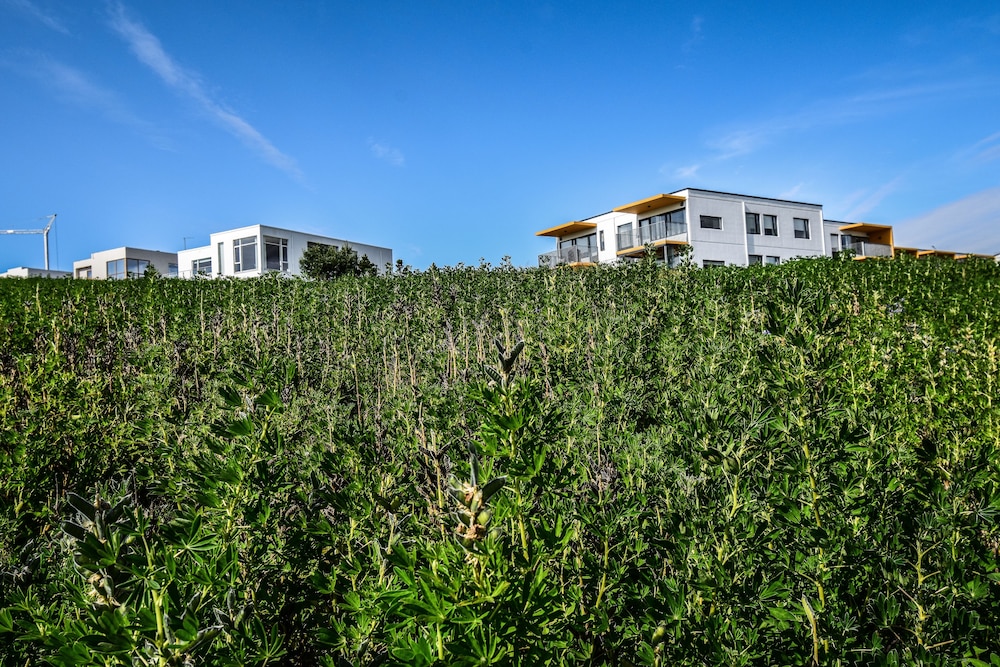 House Þ1