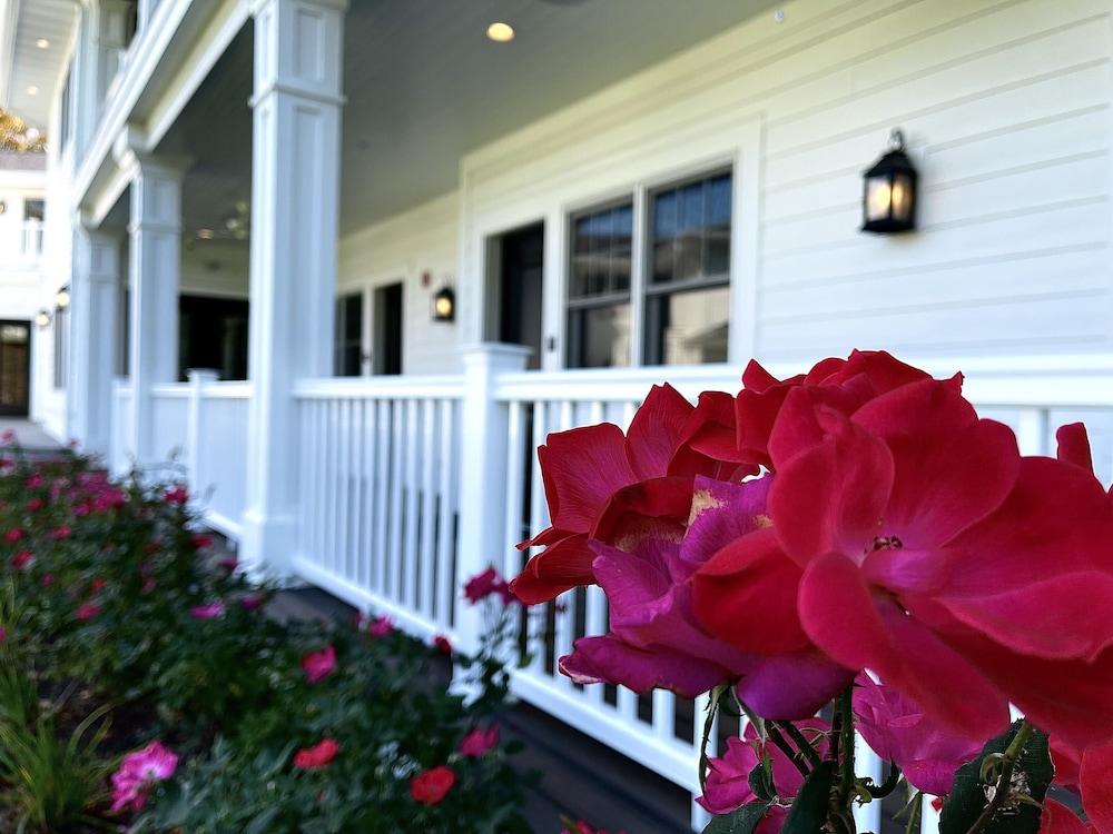 The Belfry House view 2