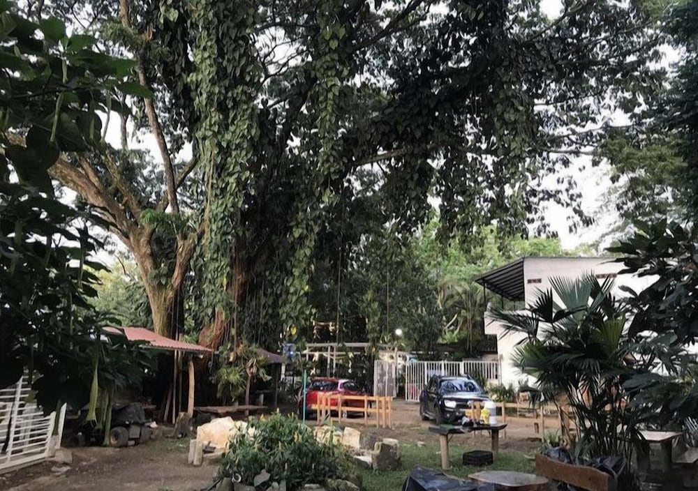 Ecohotel Ambrosia Lodge