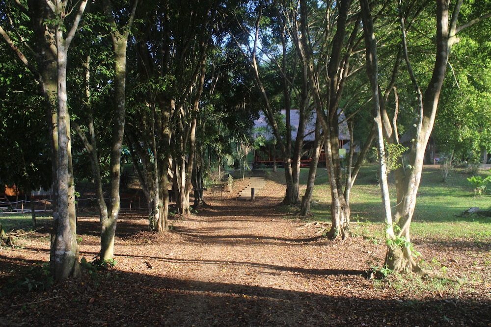 La Habana Amazon Reserve