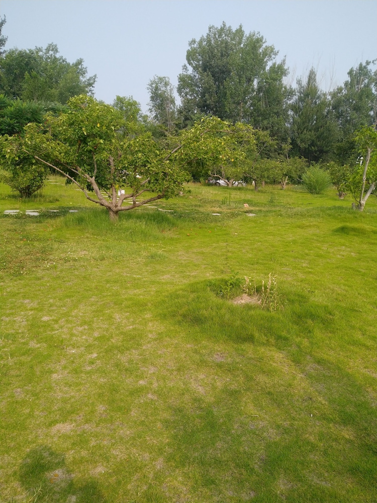 Solar food&drink campsite