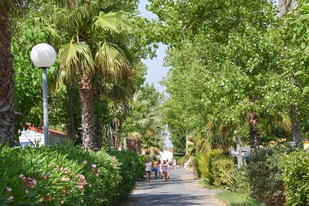Caravan Park Camping in Vias-plage
