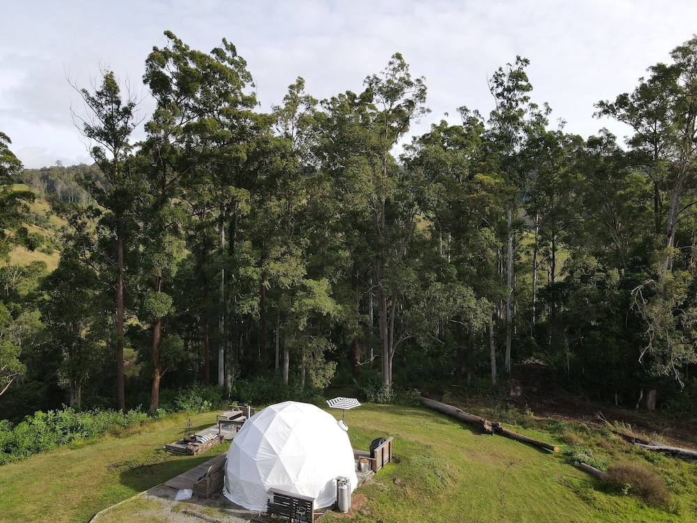 FOREST DOMES