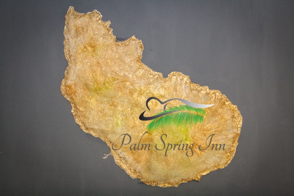 Palm Spring Inn - Property Image 4