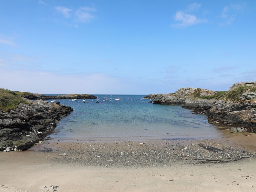 The Cove