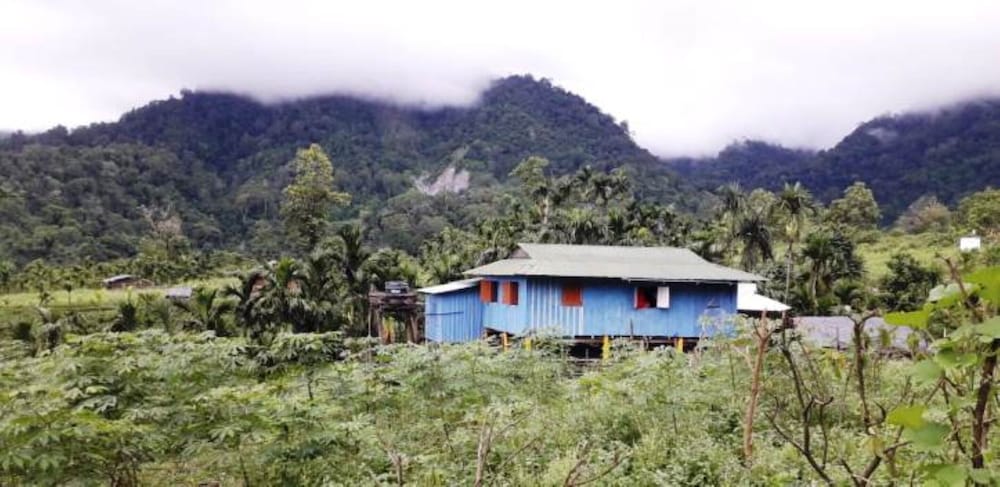 Mountain View Home stay Alipurduar view 2