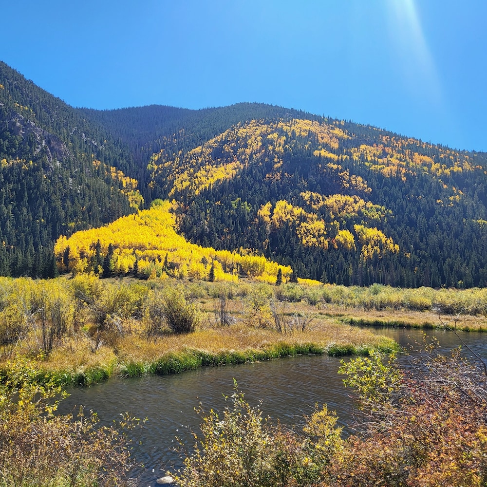 Buffalo Peaks B&B