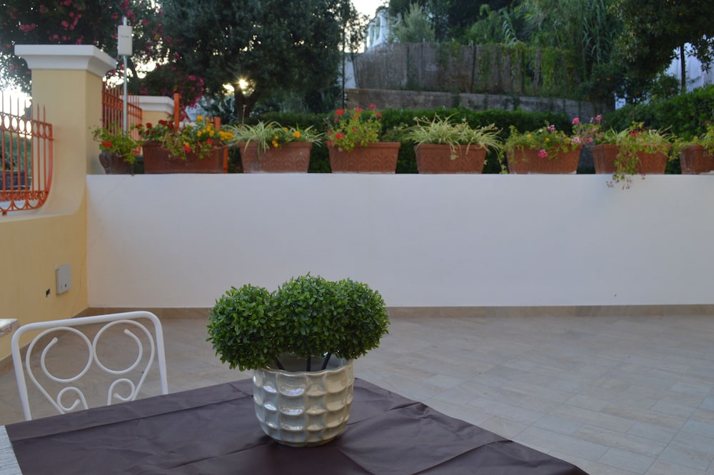 Hotel Polito