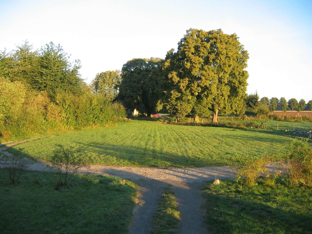Photo 24