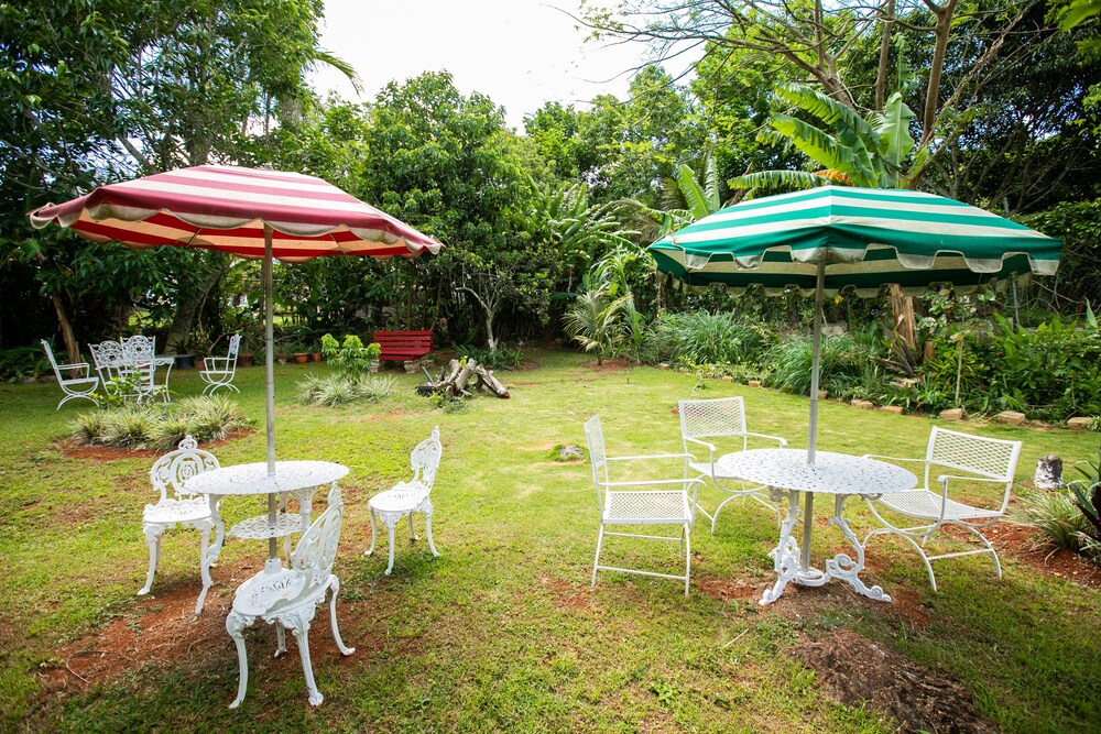 Casa da Buena Vista - Photo 37