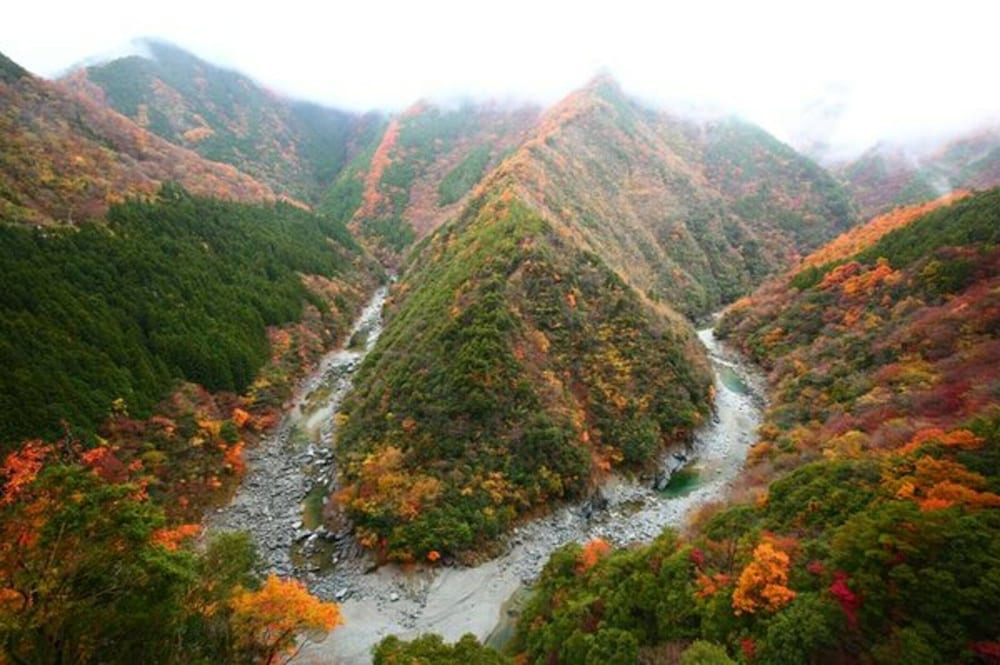 Hotel Iyaonsen