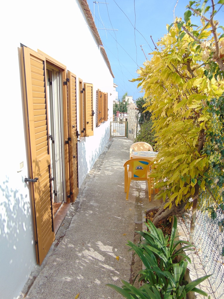 Photo 38