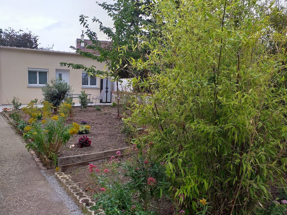 Photo 49