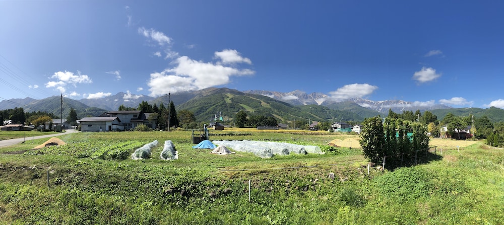 Photo 19