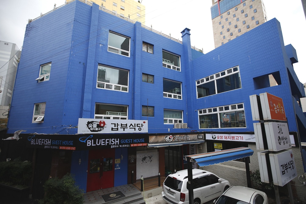 Bluefish Guesthouse - Hostel