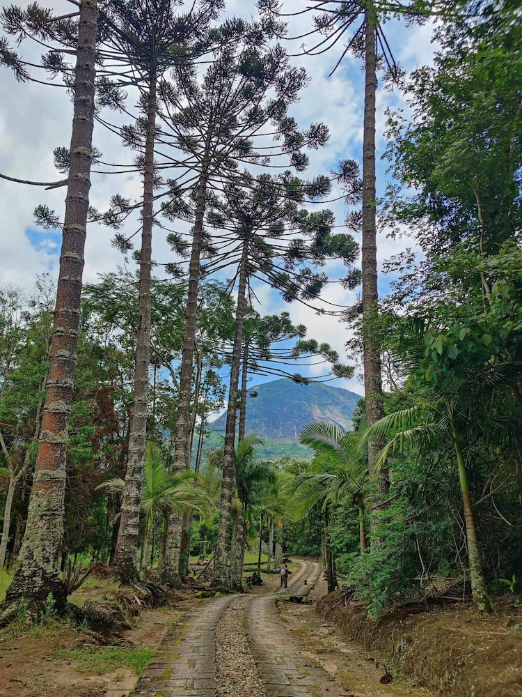 Paradisiacal Site in National Park