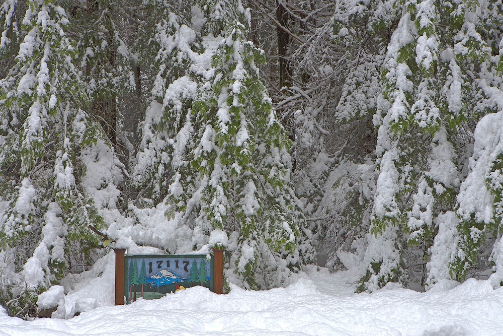 Four Stone Lodge Near Mt Rainier