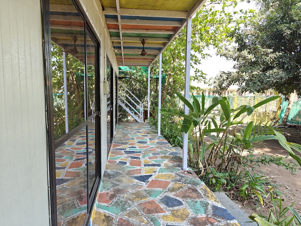 Photo 46