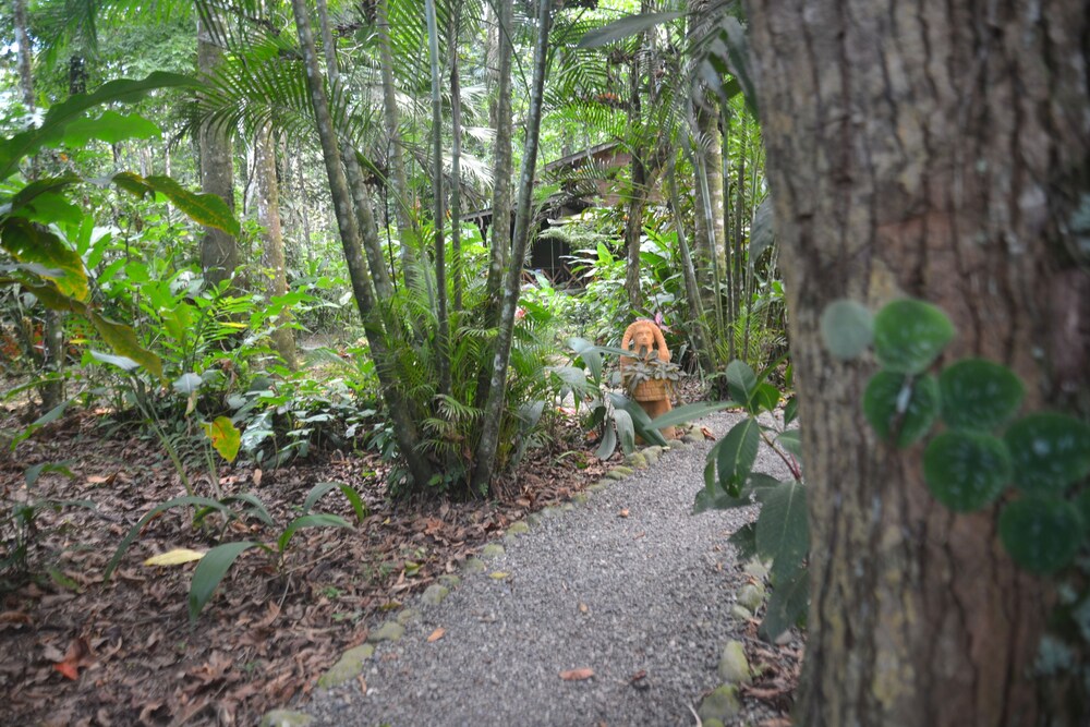 Pachamama Jungle River Lodge