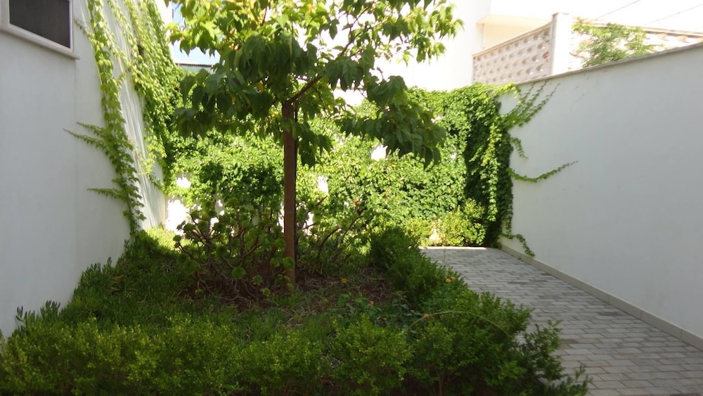 Photo 47