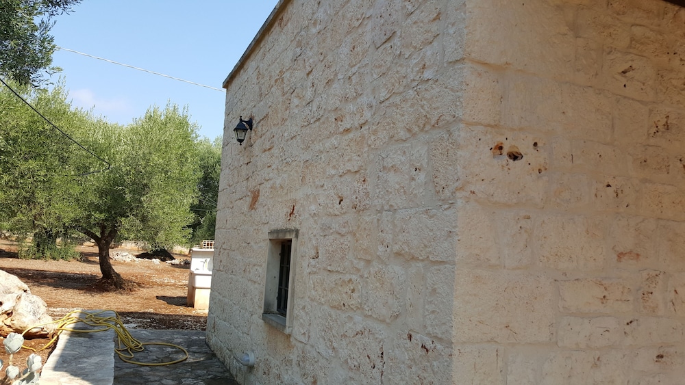 Photo 31