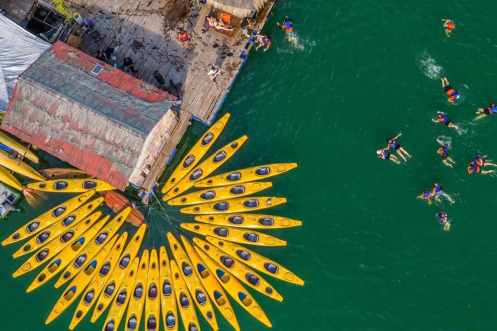 Verdure Lotus Classic Cruise on Lan Ha Bay
