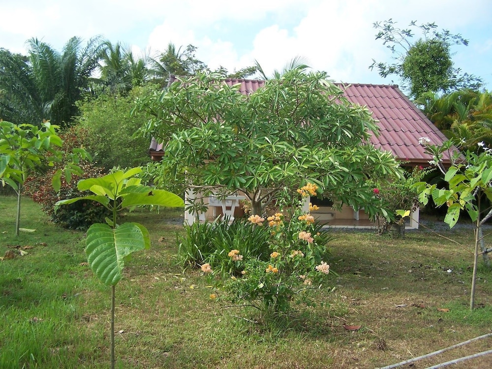 Coconut Valley Bed & Breakfast view 2