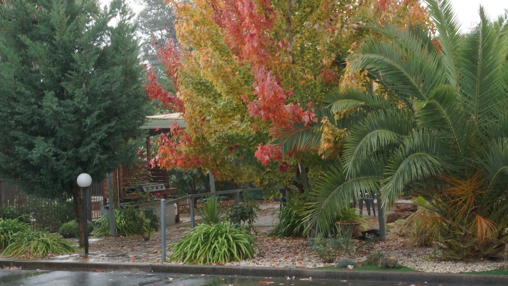 Golden Leaf Motor Inn