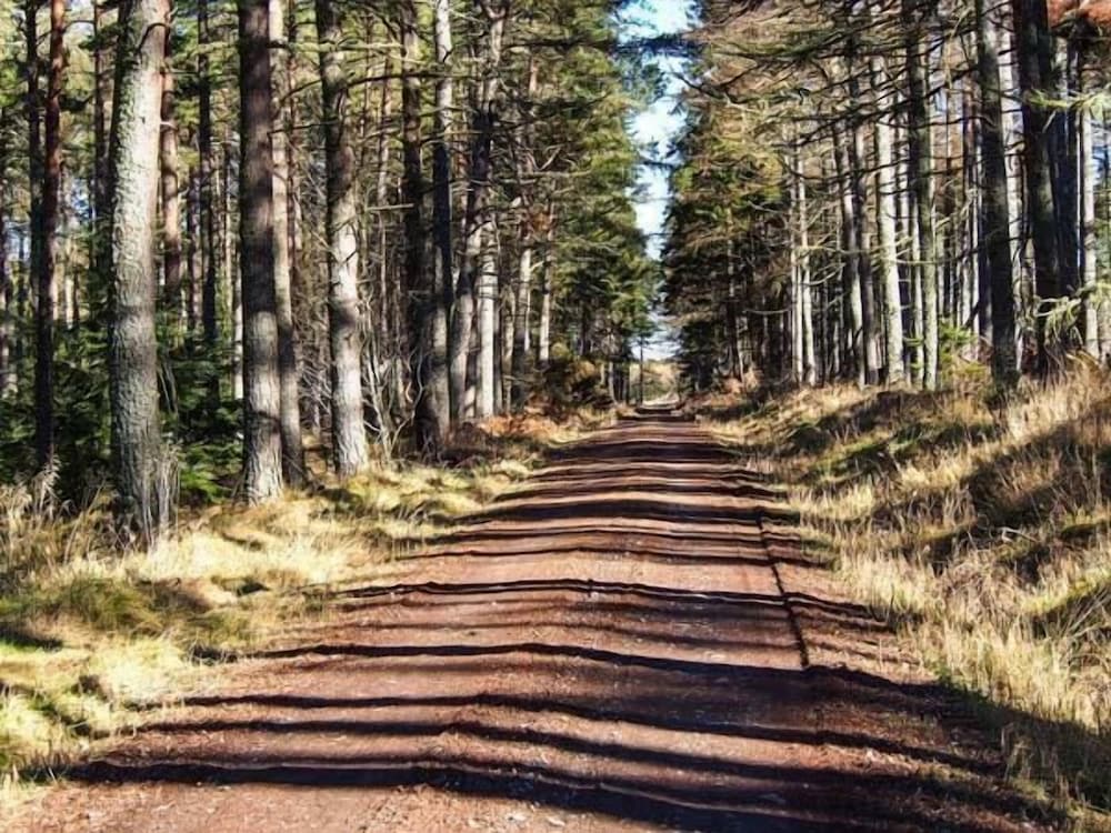 Pine Lodge