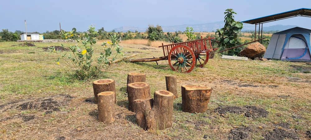 Savli Farm's Nature Retreat & Adventures