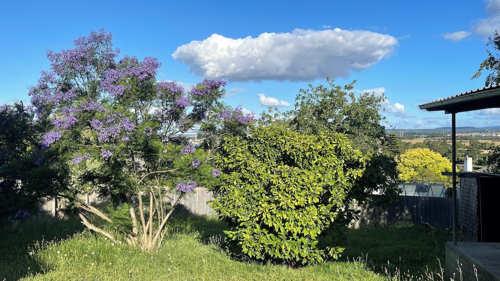Morwell Pet friendly 3BM House