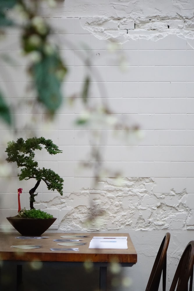 CaoJi Book inn Hostel