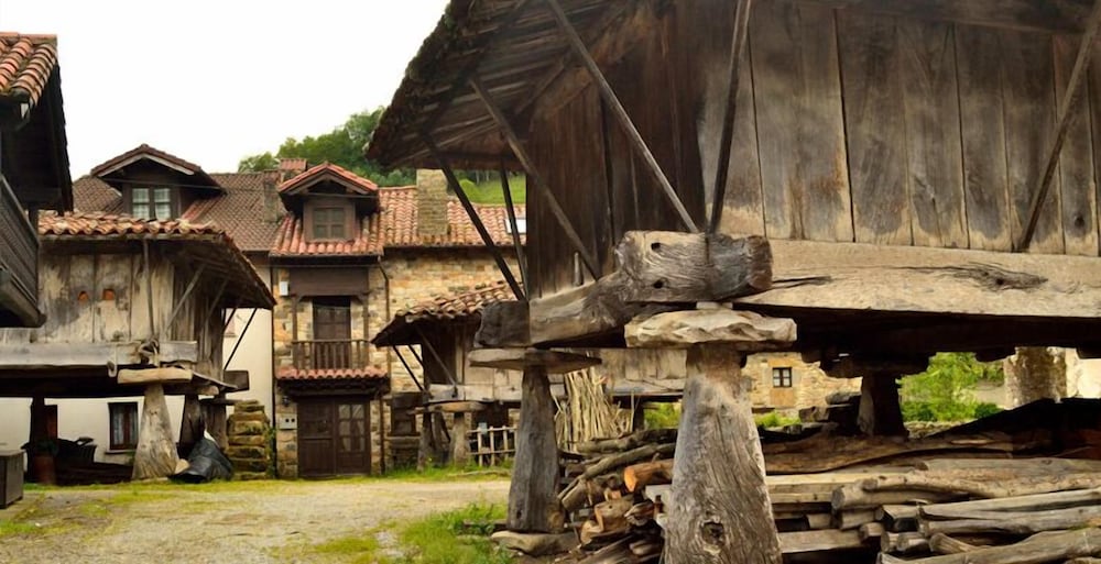 Photo 46