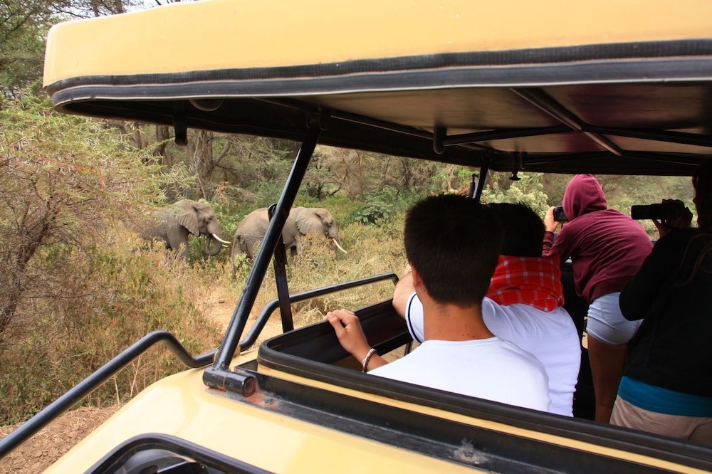 The Vijiji Center Lodge and Safari